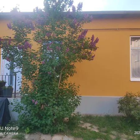 Mit Garten Zentrumsnah *