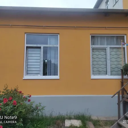 Mit Garten Zentrumsnah Schwerin (Mecklenburg-Vorpommern)