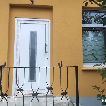 Apartment Mit Garten Zentrumsnah